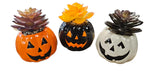 CERAMIC JACK-O-LANTERN SUCCULENT