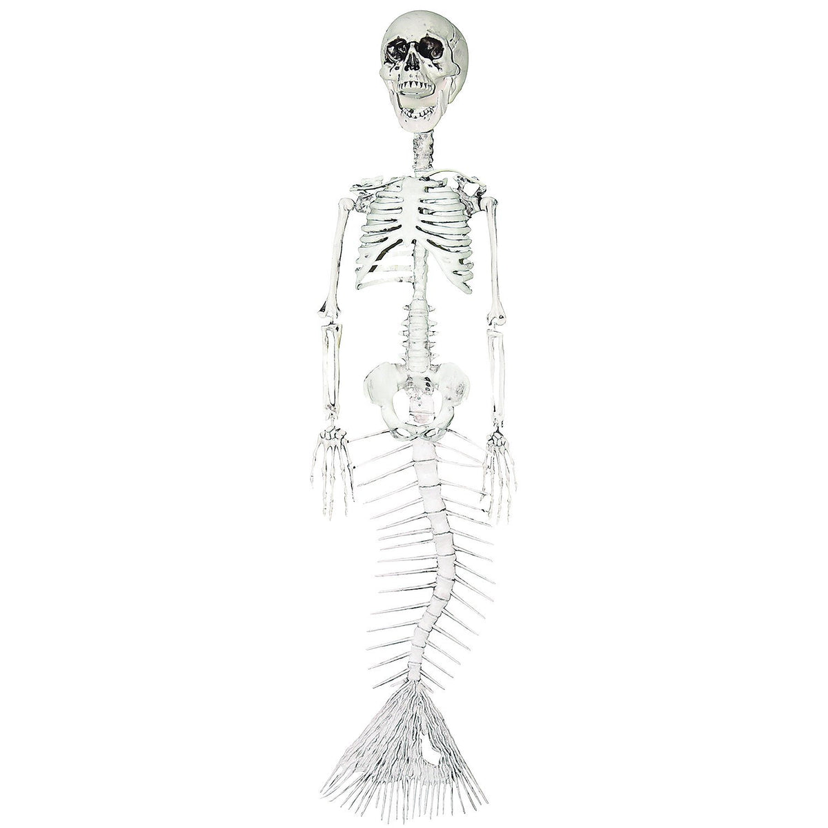 16¨ MERMAID SKELETON