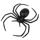 6" Viuda Negra