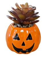 CERAMIC JACK-O-LANTERN SUCCULENT