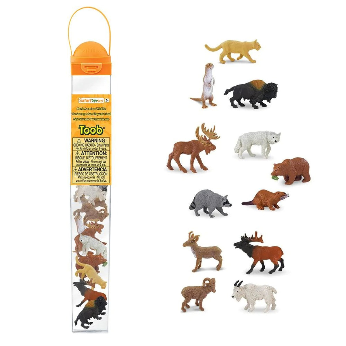 North American Wildlife