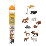 North American Wildlife