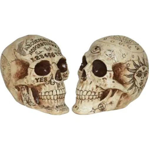 Calavera Adivinadora de 7" Surtido de 2