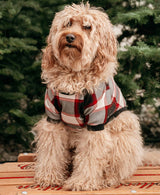 Camisa de cuadros escoceses para perro