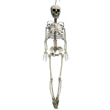 Poseable Halloween Skeleton Prop Decoration White