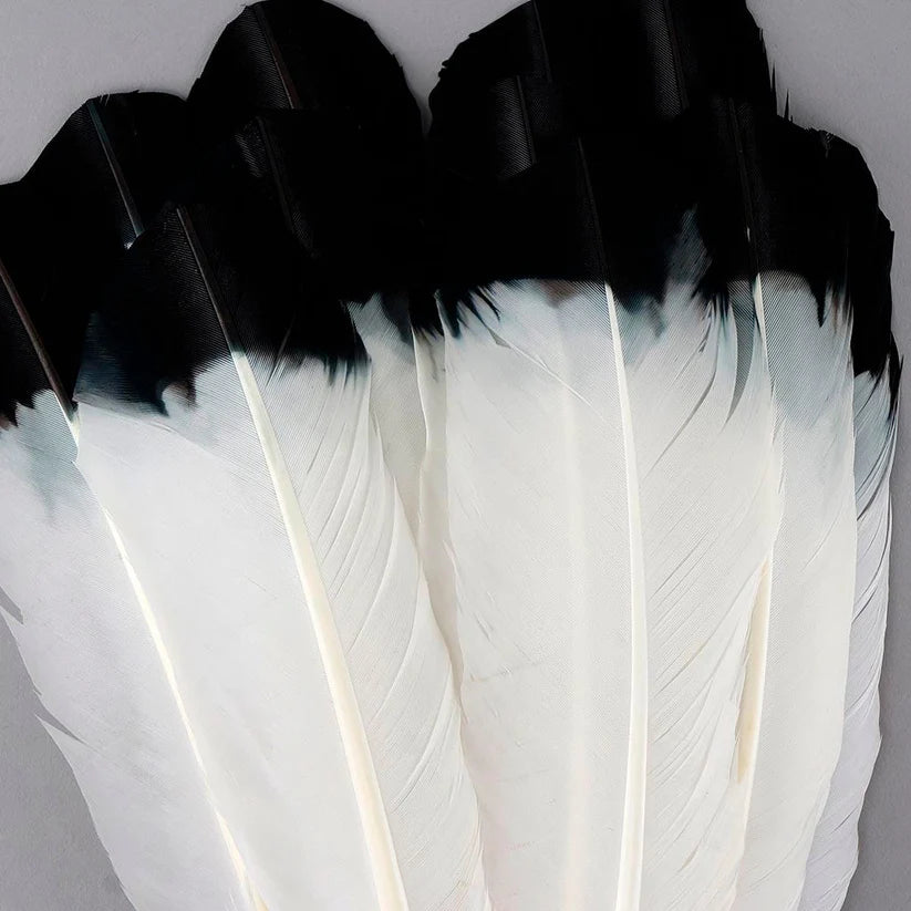 Plumas de imitación de águila de pavo - Negras