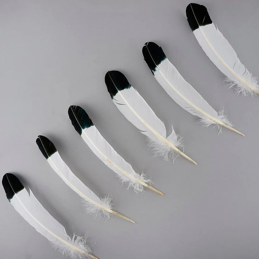 Plumas de imitación de águila de pavo – Negro