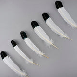 Plumas de imitación de águila de pavo – Negro