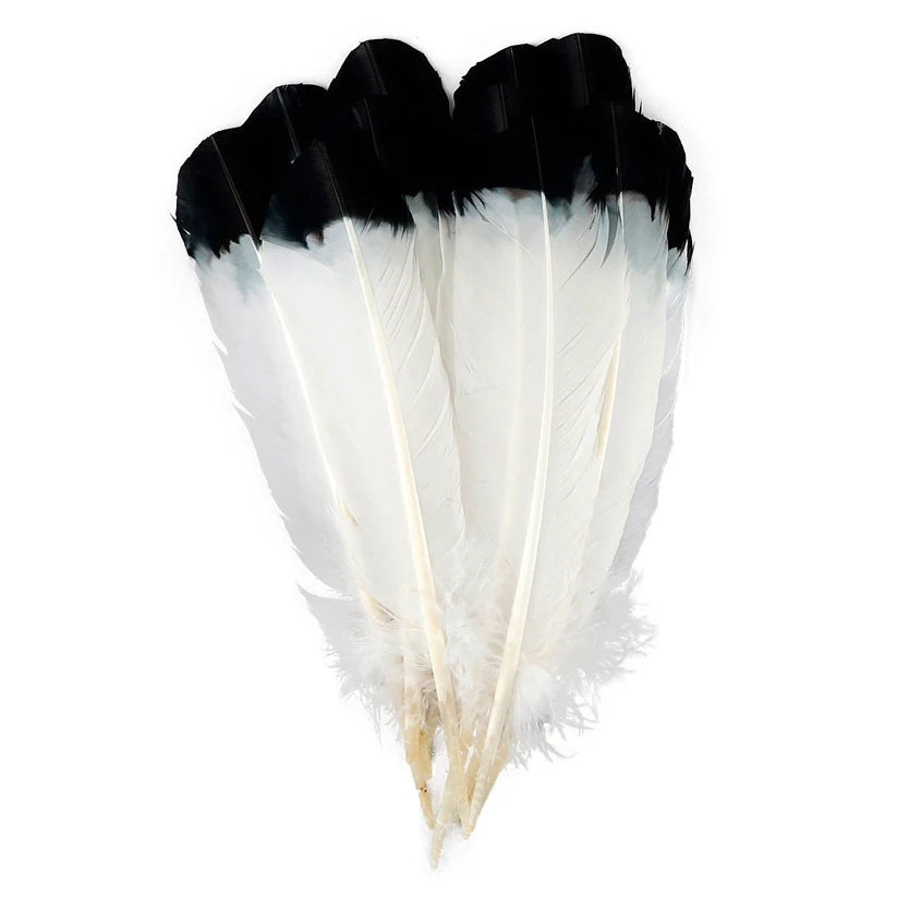 Plumas de imitación de águila de pavo - Negras