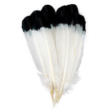Plumas de imitación de águila de pavo - Negras