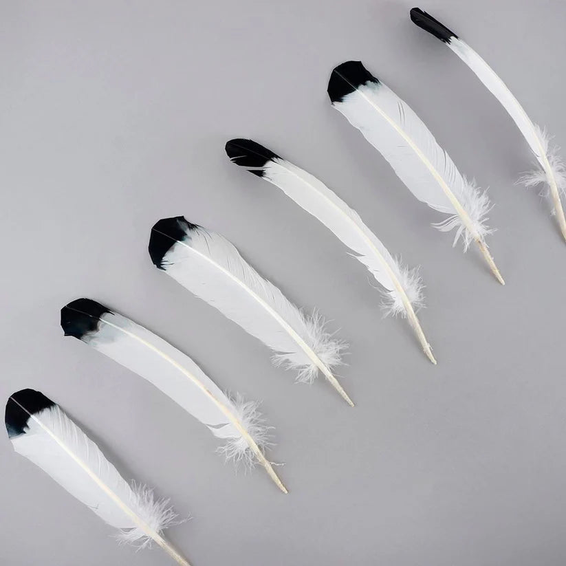 Plumas de imitación de águila de pavo - Negras