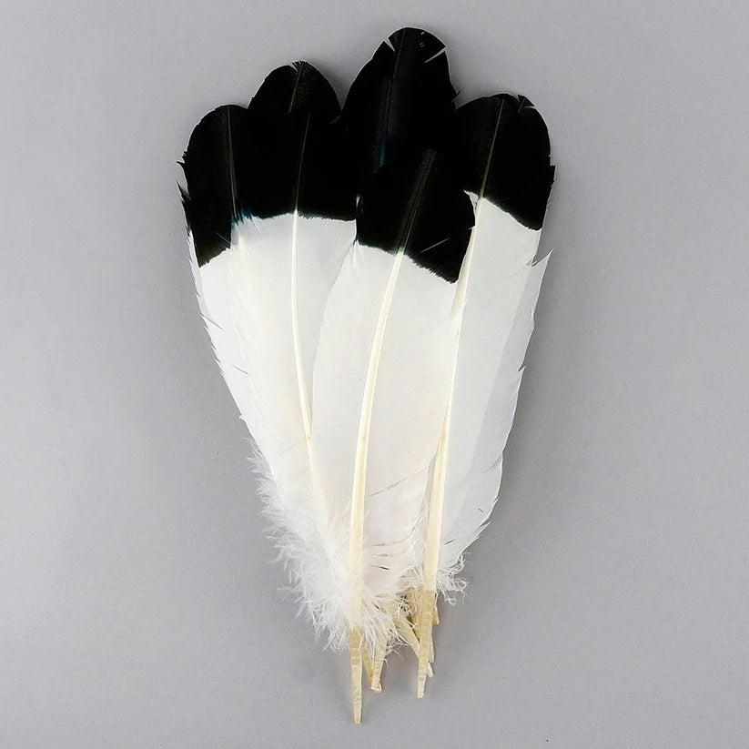 Plumas de imitación de águila de pavo – Negro
