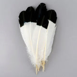Plumas de imitación de águila de pavo – Negro