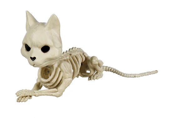 LINDO ESQUELETO DE GATO TUMBADO 5.25"