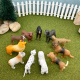 Perros