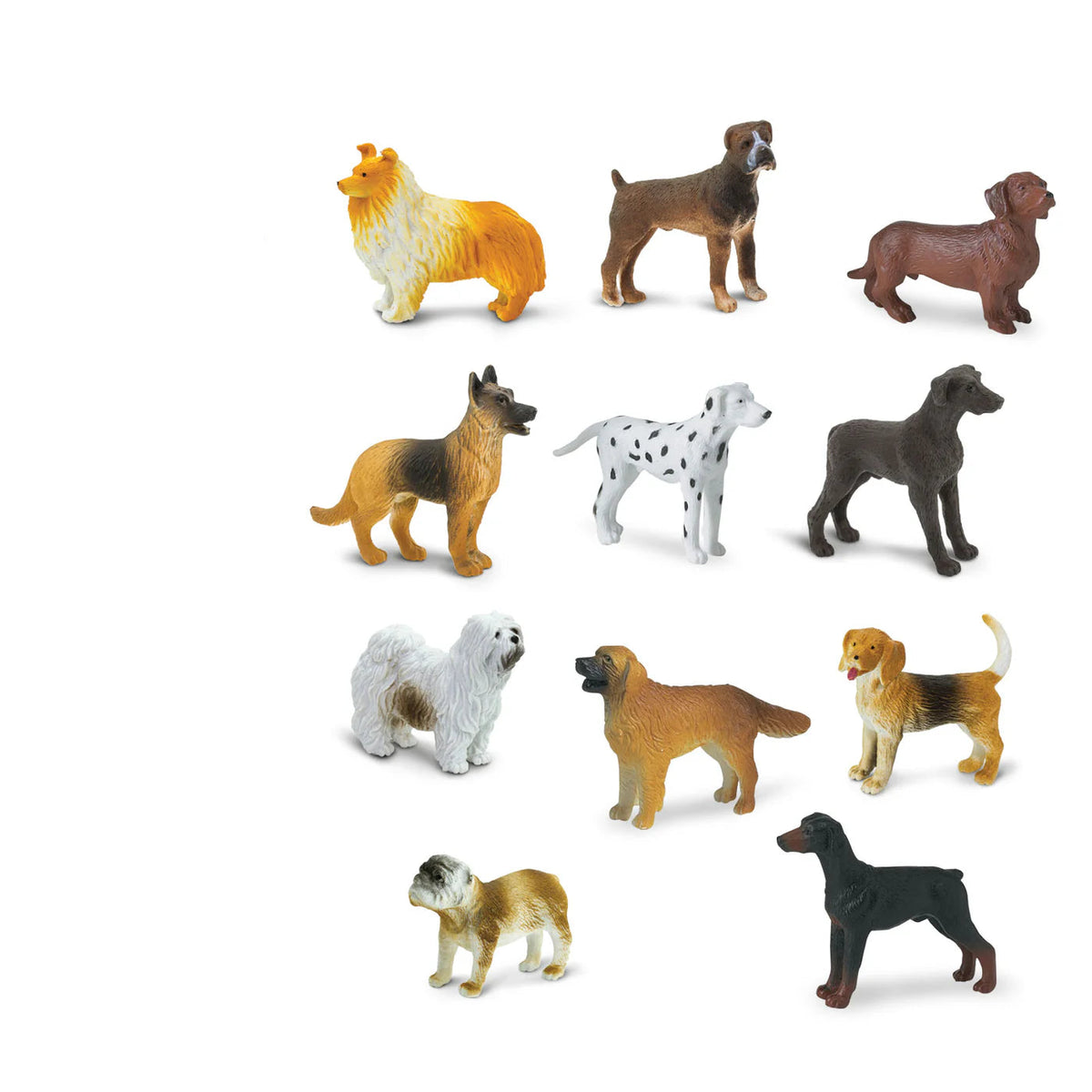 Perros