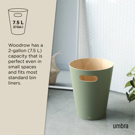 WOODROW Can Spruce