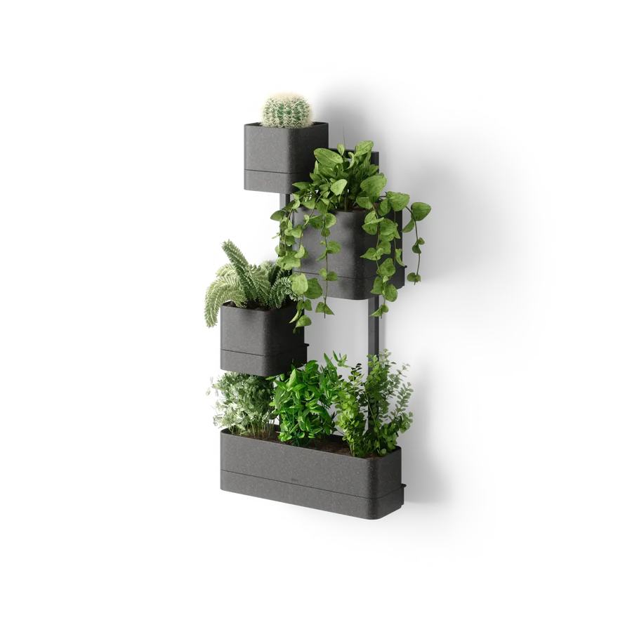 Cubiko Wall Planter