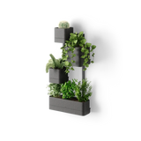 Cubiko Wall Planter