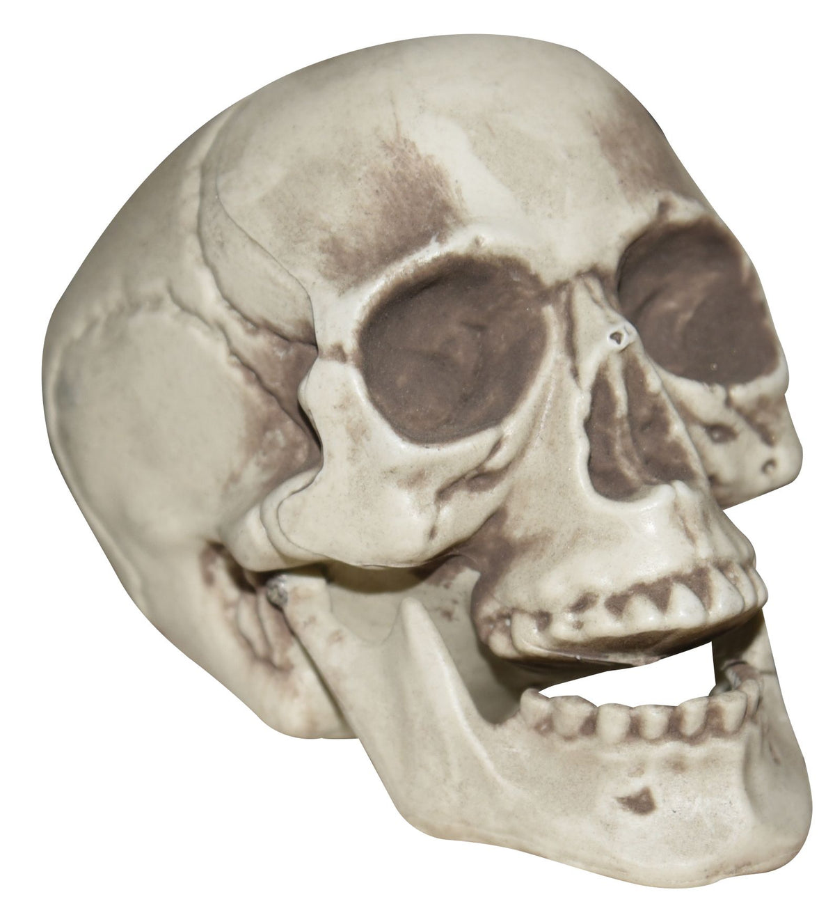 Calavera de mesa