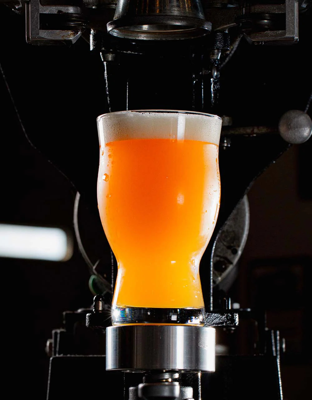 Revolución 16 oz.