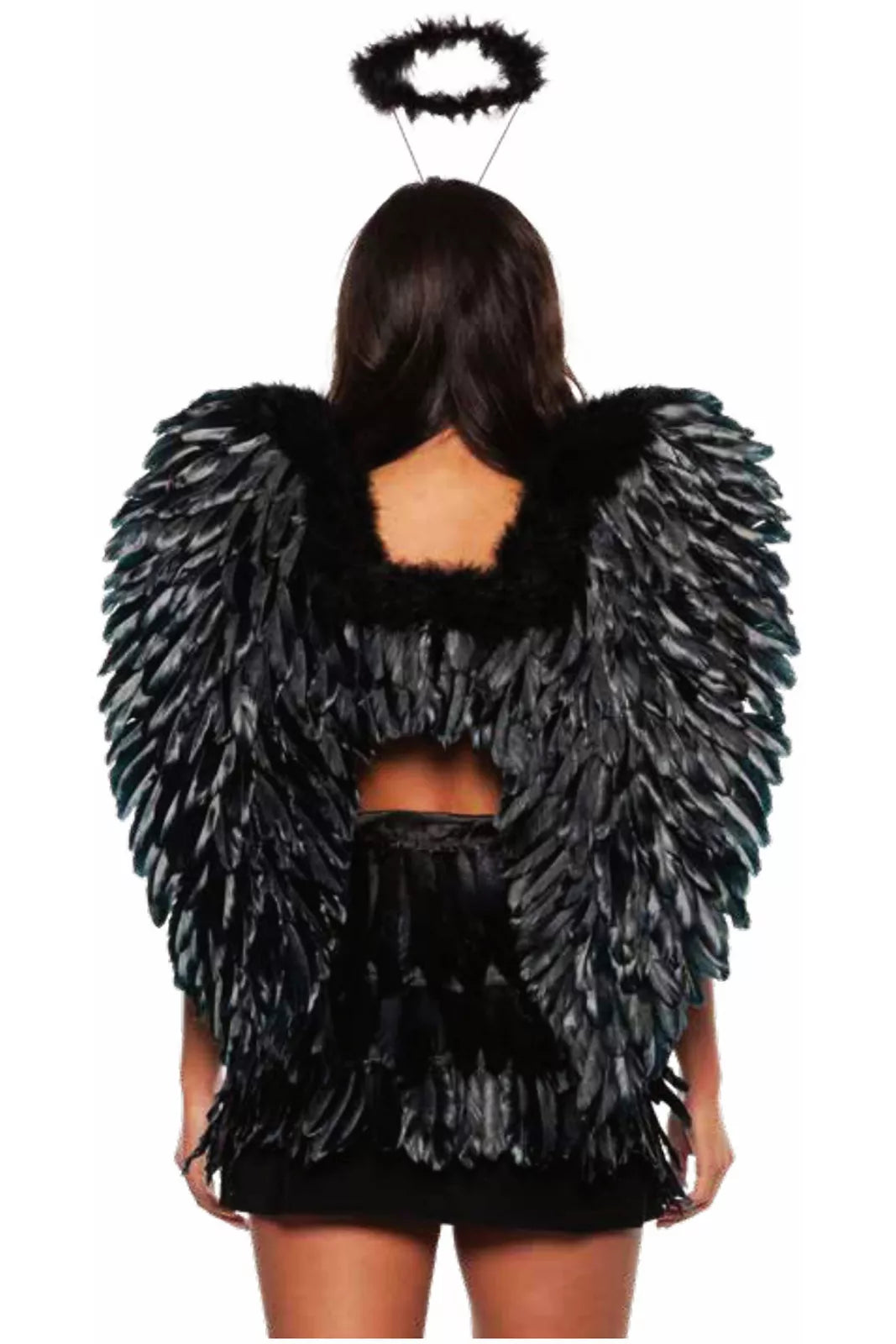 Alas-Pluma Negra