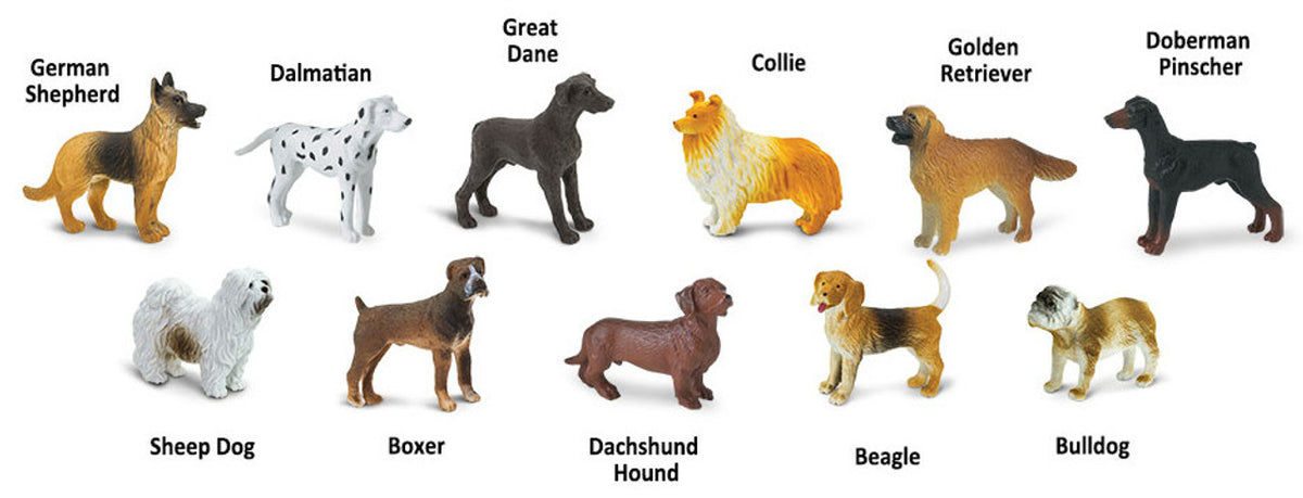 Perros