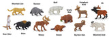 North American Wildlife