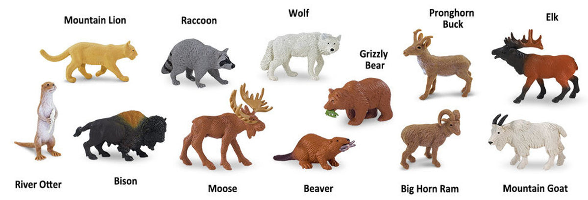 North American Wildlife