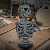 Torso de esqueleto Lu de 12.5¨