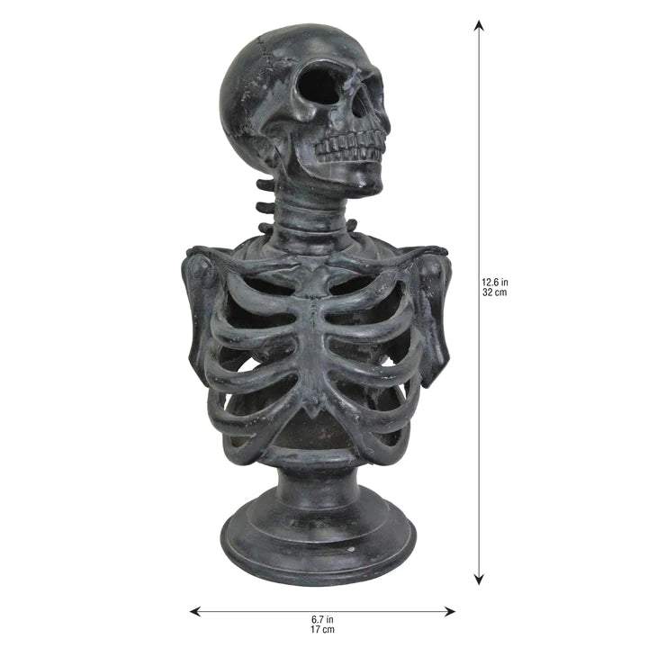 Torso de esqueleto Lu de 12.5¨