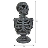 Torso de esqueleto Lu de 12.5¨