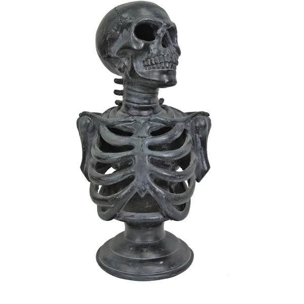 Torso de esqueleto Lu de 12.5¨