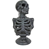 Torso de esqueleto Lu de 12.5¨