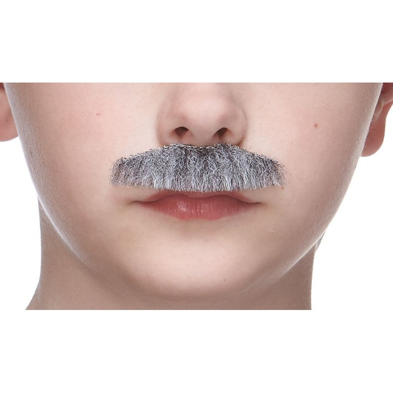 Bigotes pequeños grises y blancos