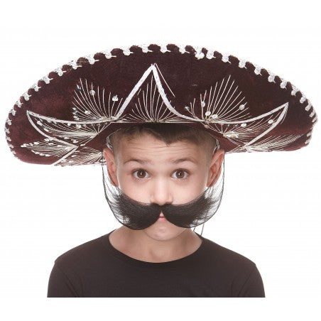Bigotes Pequeños con Barba y Cejas Negras