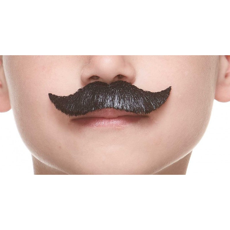 Bigotes pequeños negros
