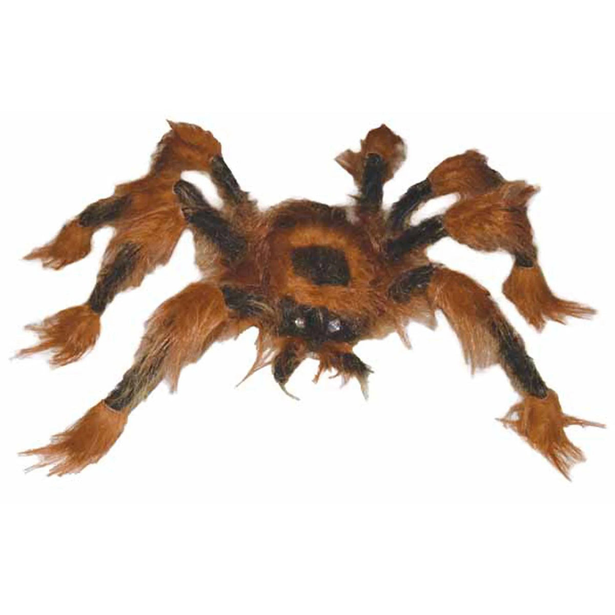 Araña peluda marrón