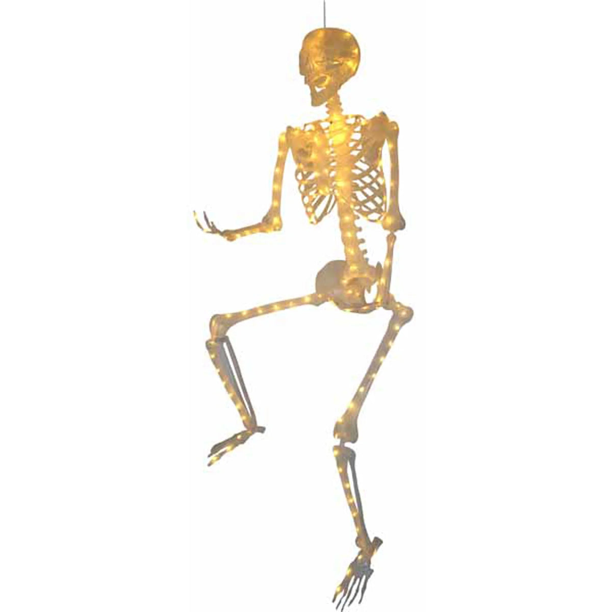 5F Esqueleto con cadena de luces para todo el cuerpo