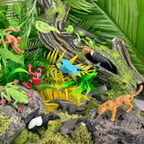 Selva tropical