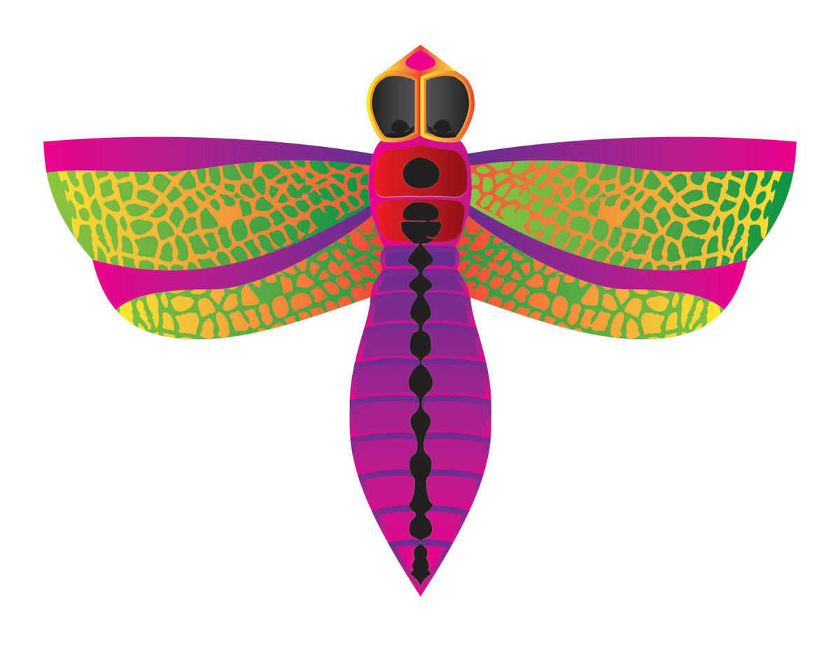 Microkite Kite Peces Tropicales y Libélula Mini Cometas, 2 unidades