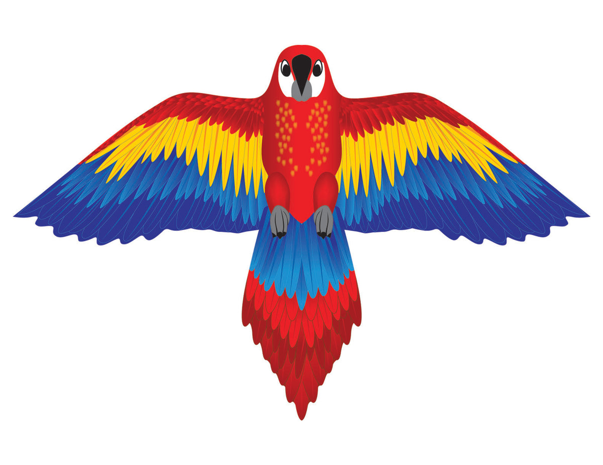 Microkite Kite Guacamaya y Rana Minicometa, paquete de 2