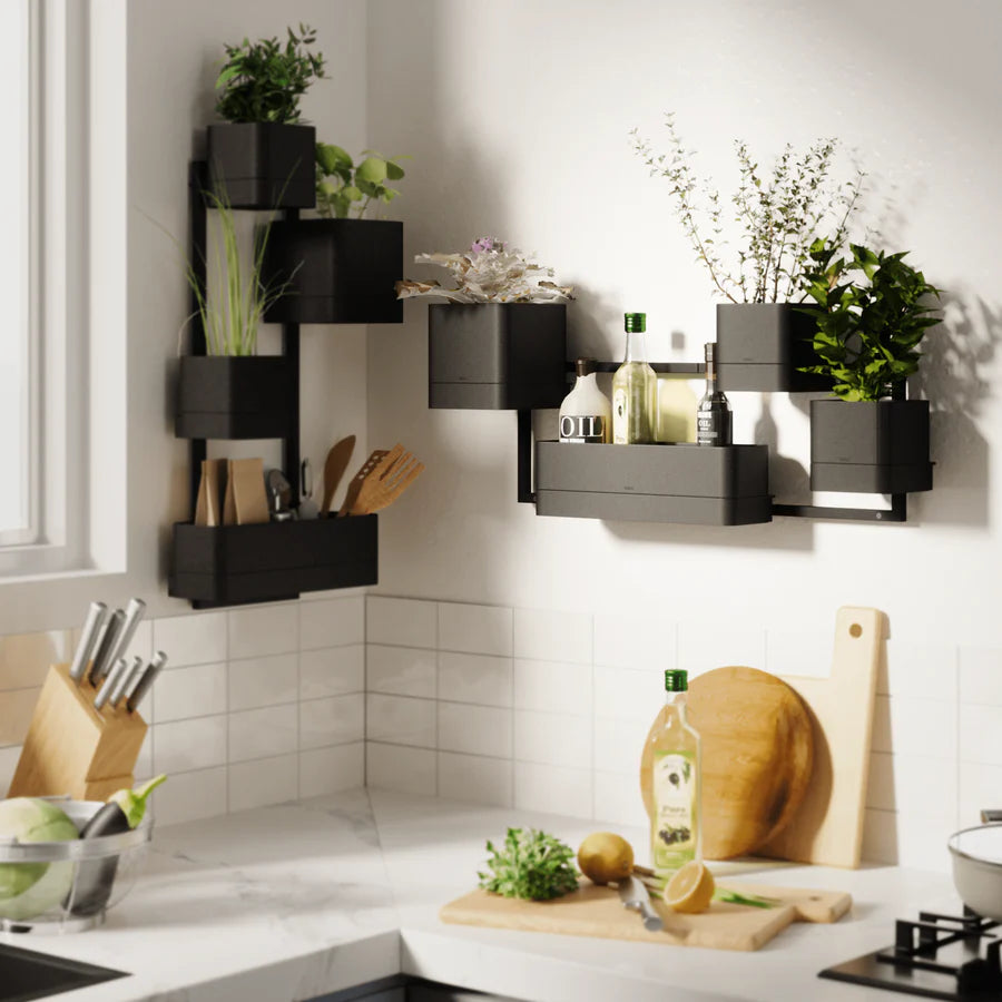 Cubiko Wall Planter