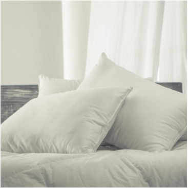 Luxurious Down alternative Pillow in 2 sizes