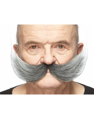 Bigotes Grises