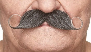 Bigotes grises