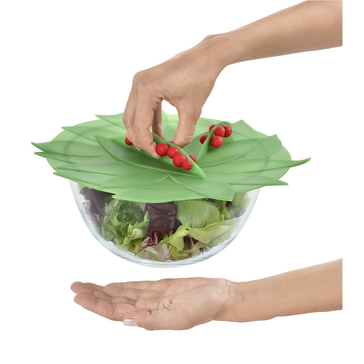 Winterberry Lid - in 3 sizes