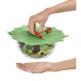 Winterberry Lid - in 3 sizes