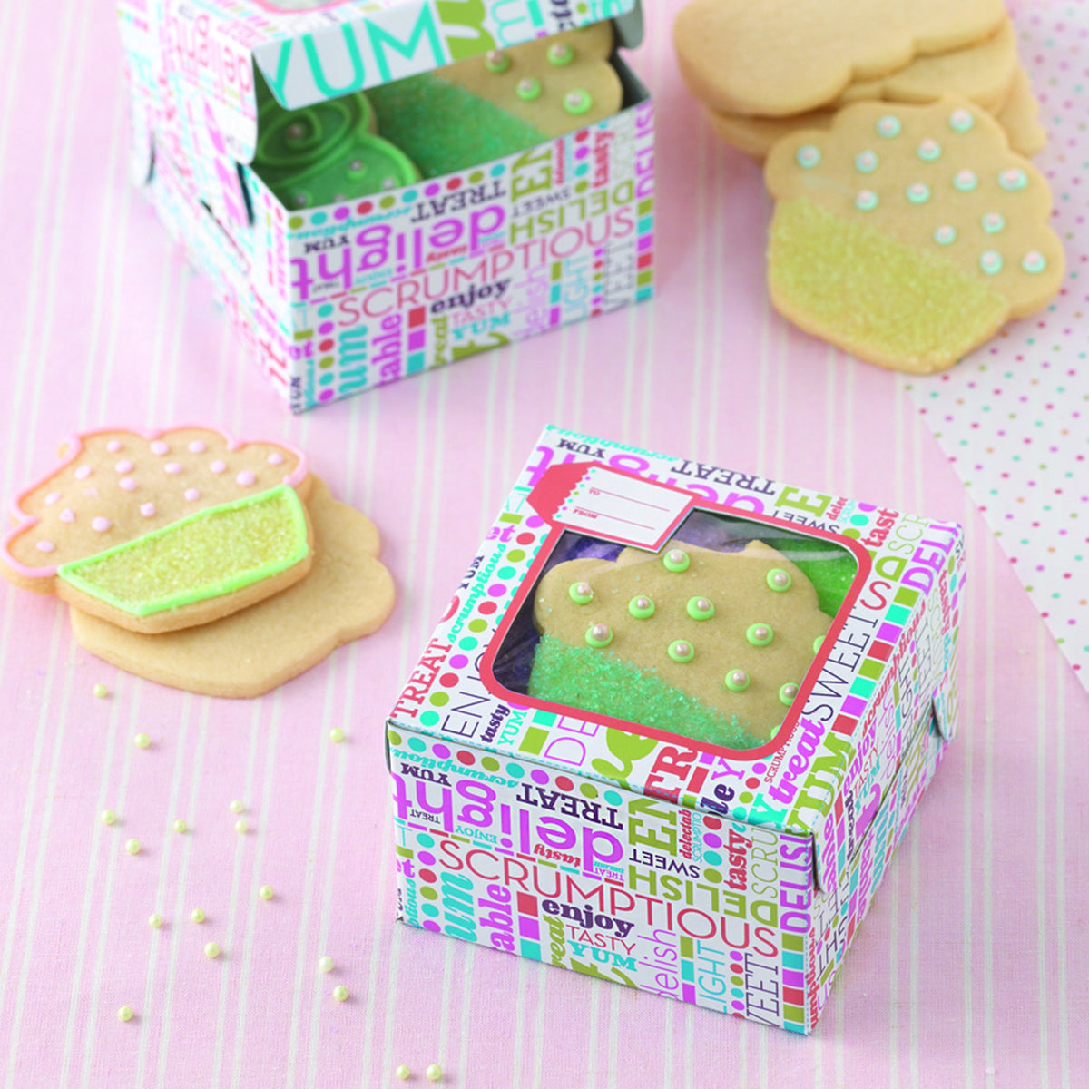 Cajas de galletas coloridas, paquete de 3