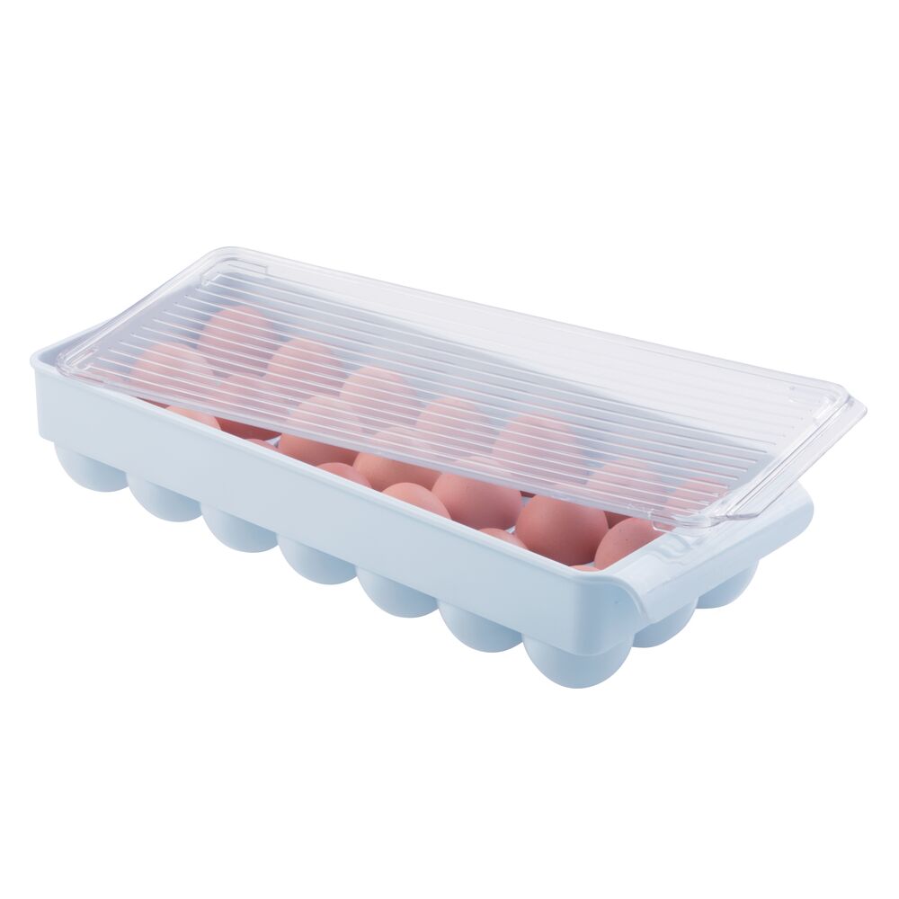 Egg Blue/Clear Fridge Binz Egg Holder -21